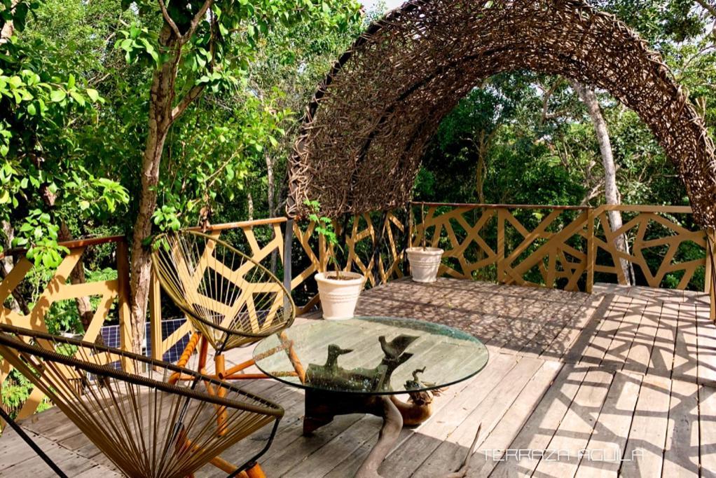 Apartment Terrace,1572840182:JPEG
