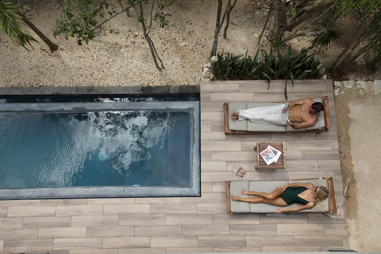 Luxury Jungle Arthouse