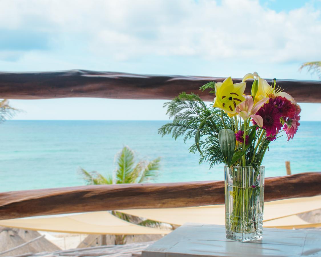 Corazon Junior Suite