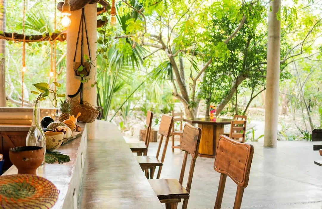 Pepem Holistic Experience - Peaceful Retreat Near Tulum (Adults Only)-1
