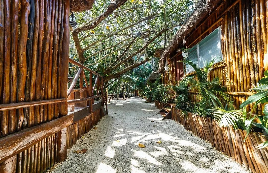 Eco Banitas Tulum-1