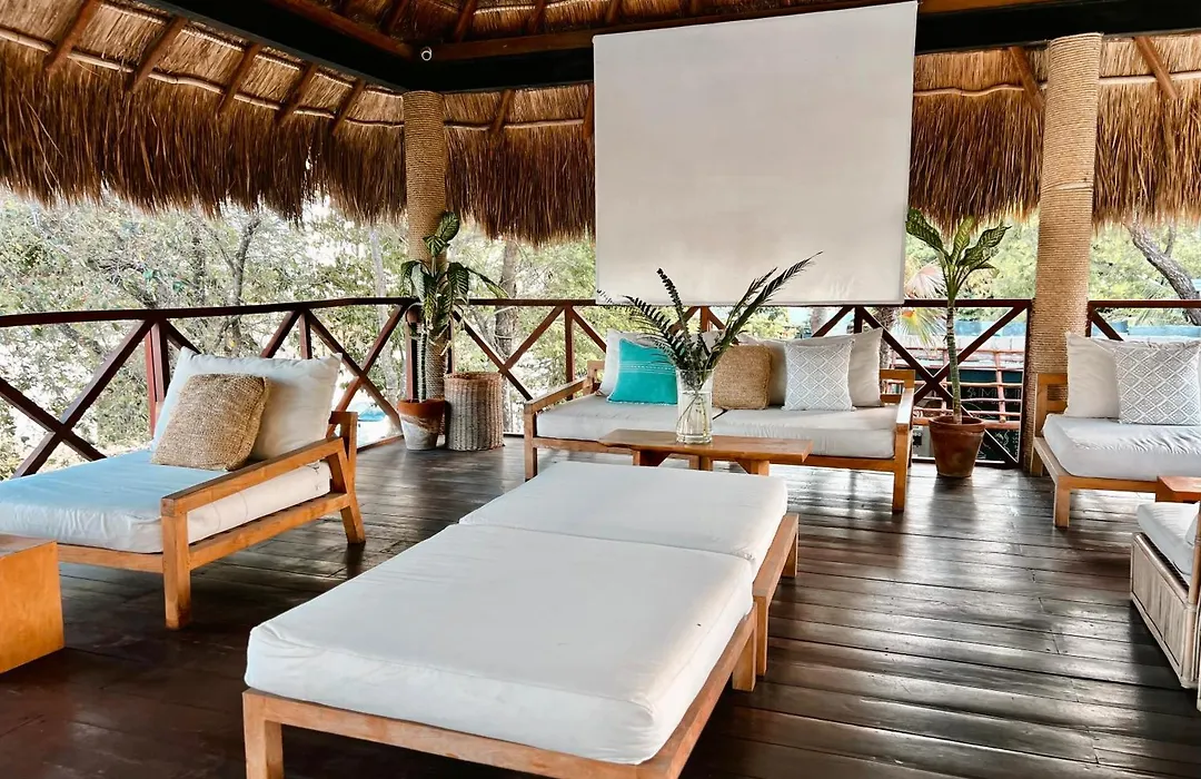 Mimosa Tulum-1