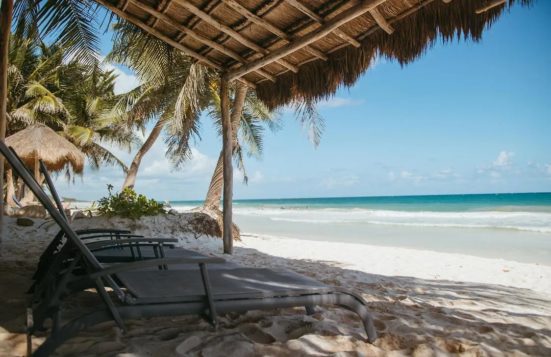 Olas Tulum-1