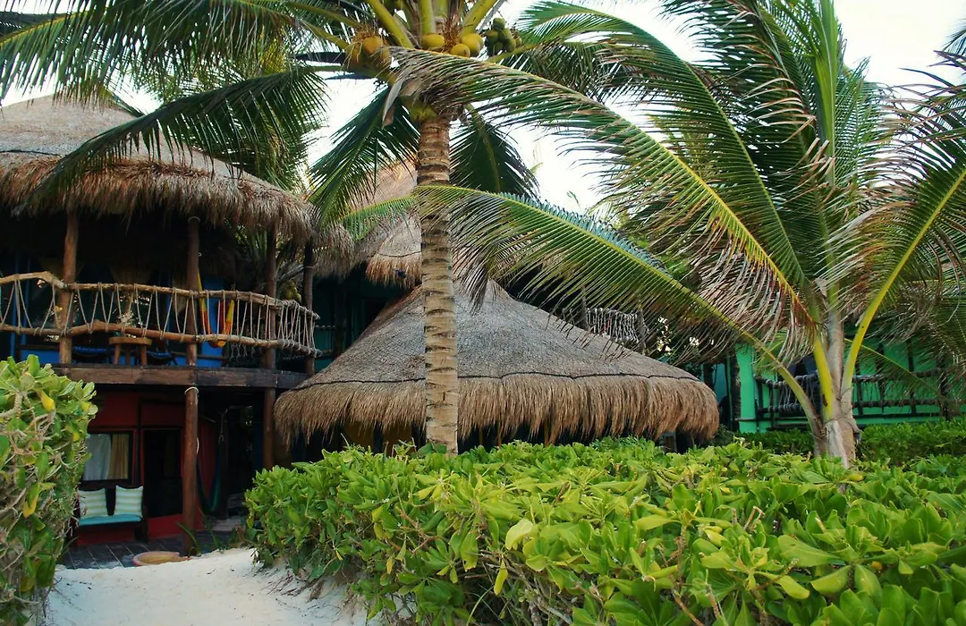 Cabanas La Luna-1