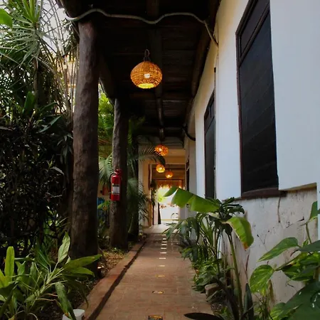 L Hotelito-3