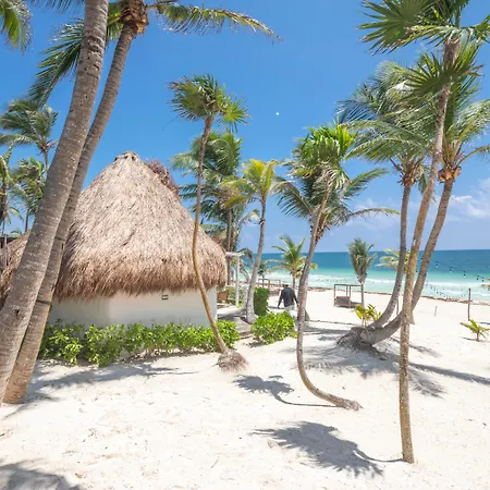 Los Amigos Beach Hotel Boutique-3