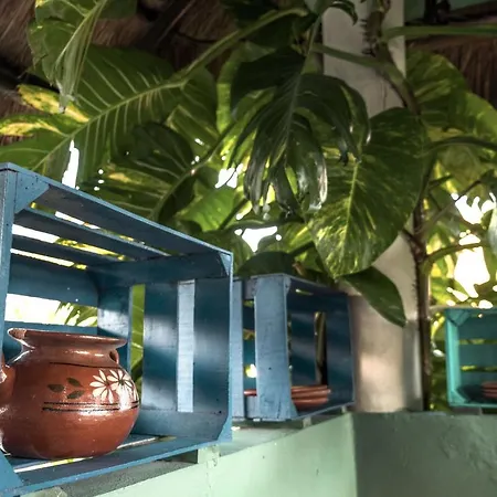 The Secret Garden Tulum-3