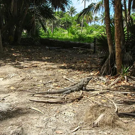 Adora Tulum 406 At Av Kukulkan-2