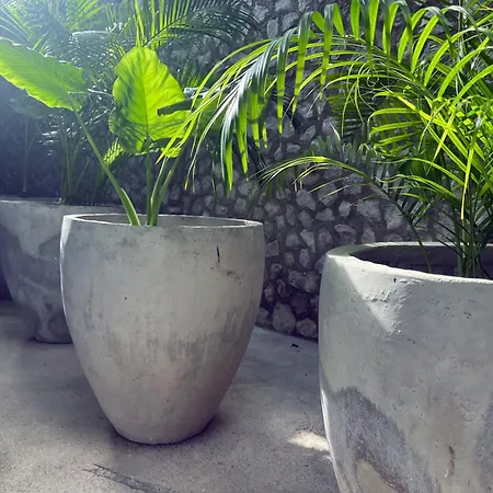 Bau Tulum-2