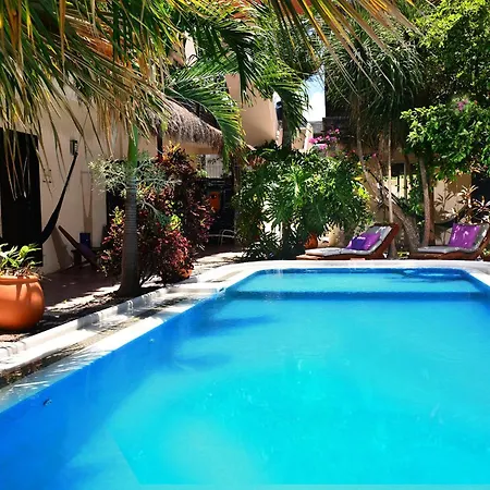 Villas Geminis Boutique Condohotel-3