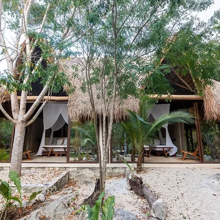 Pepem Holistic Experience - Peaceful Retreat Near Tulum (Adults Only)-3