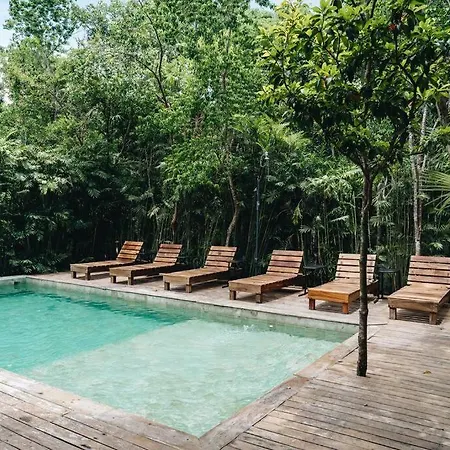 Luxury Villa, Beach Club - Jungle View - Sahara Jade-2