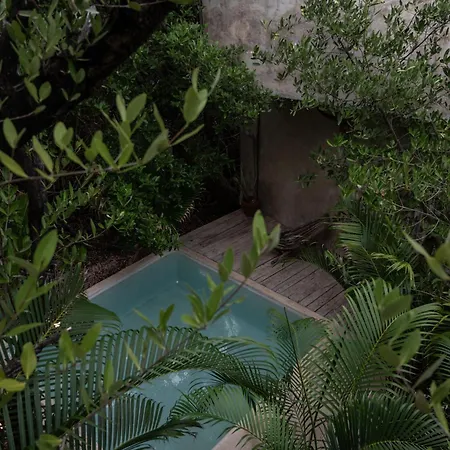 Casa Coyote Tulum-3