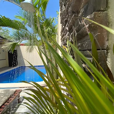 Basic Tulum-2