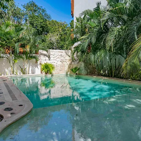 Niik Tulum-2