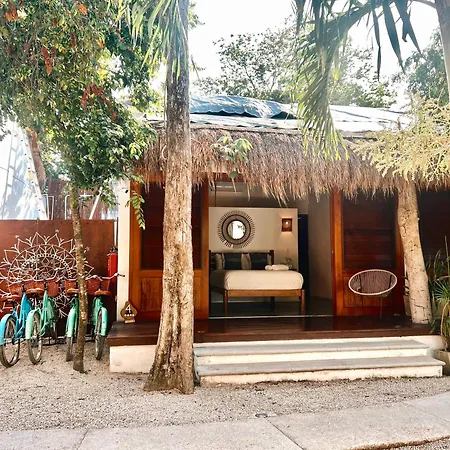 Mimosa Tulum-2
