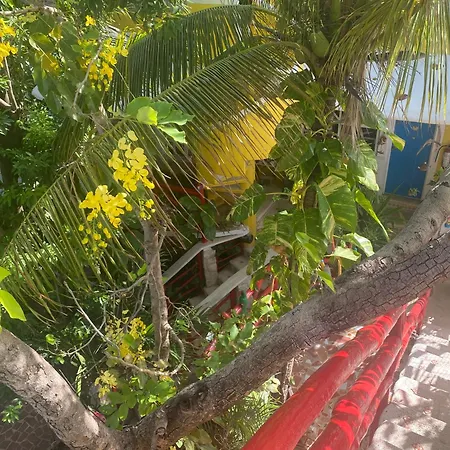 Maison Tulum-2