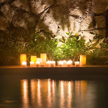 Livetulum-2