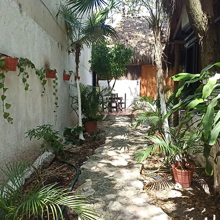 Nativos Tulum Hotel Boutique-3