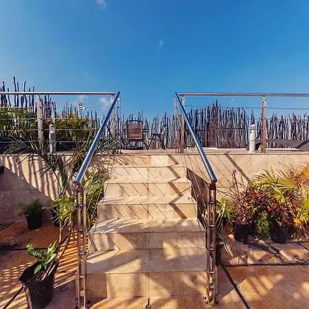 Hotel Carpe Diem Tulum By Nah Hotels-2