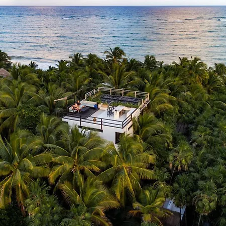 Olas Tulum-2
