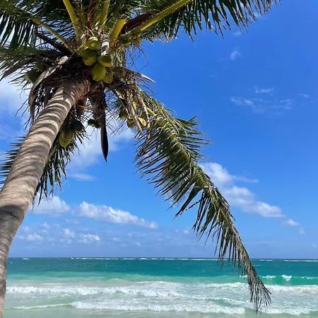 Olas Tulum-3