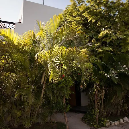 Mango Tulum Hotel-2