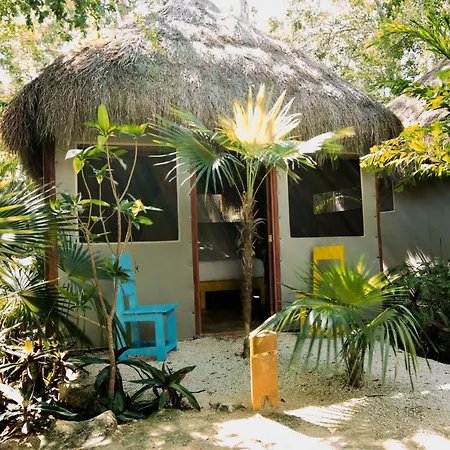 Joy Tulum - Adults Only.-3